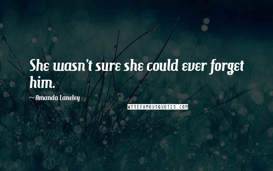 Amanda Laneley Quotes: She wasn't sure she could ever forget him.