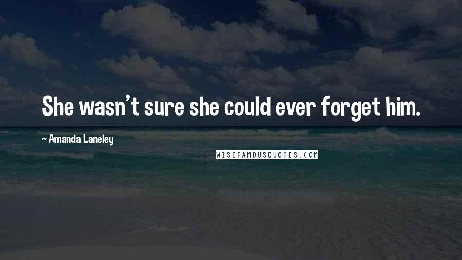 Amanda Laneley Quotes: She wasn't sure she could ever forget him.