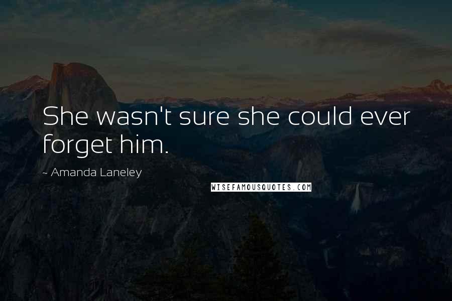 Amanda Laneley Quotes: She wasn't sure she could ever forget him.