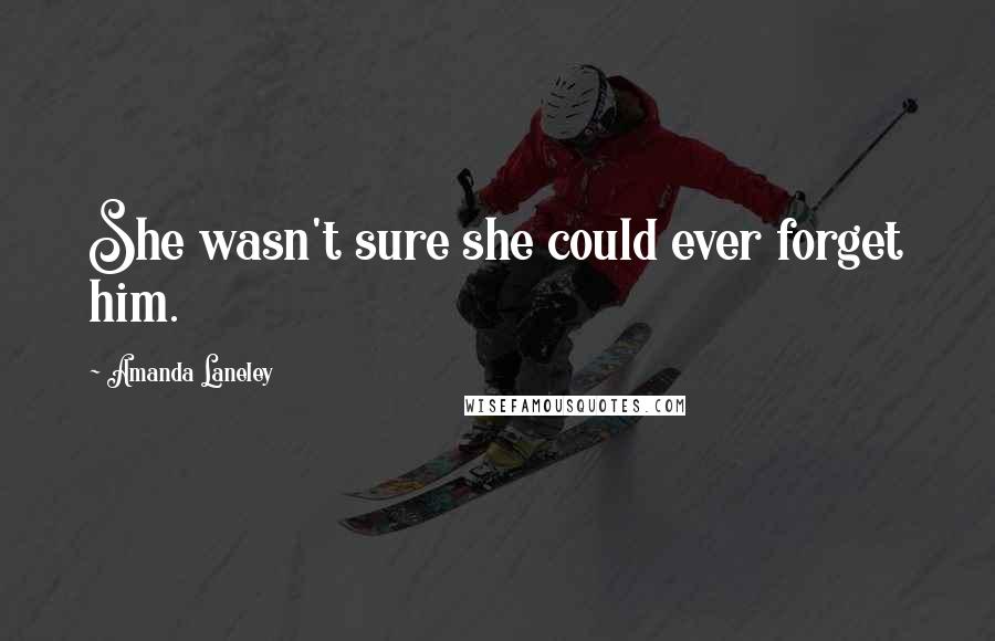 Amanda Laneley Quotes: She wasn't sure she could ever forget him.