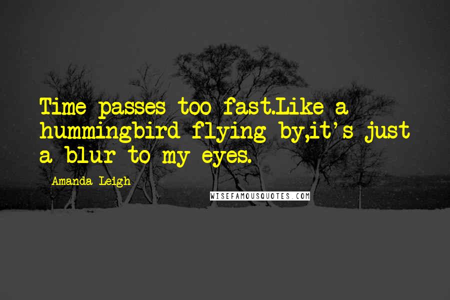 Amanda Leigh Quotes: Time passes too fast.Like a hummingbird flying by,it's just a blur to my eyes.