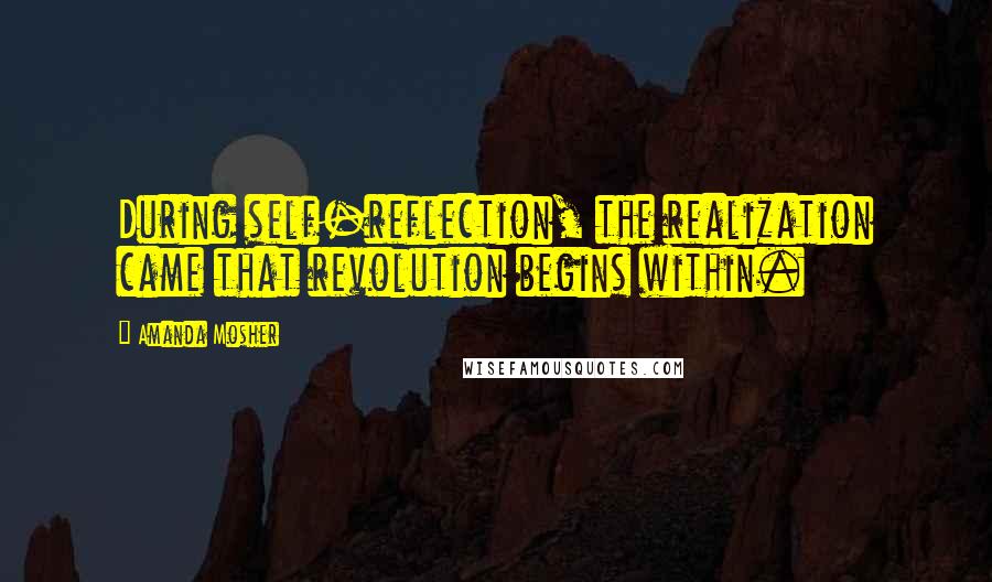 Amanda Mosher Quotes: During self-reflection, the realization came that revolution begins within.