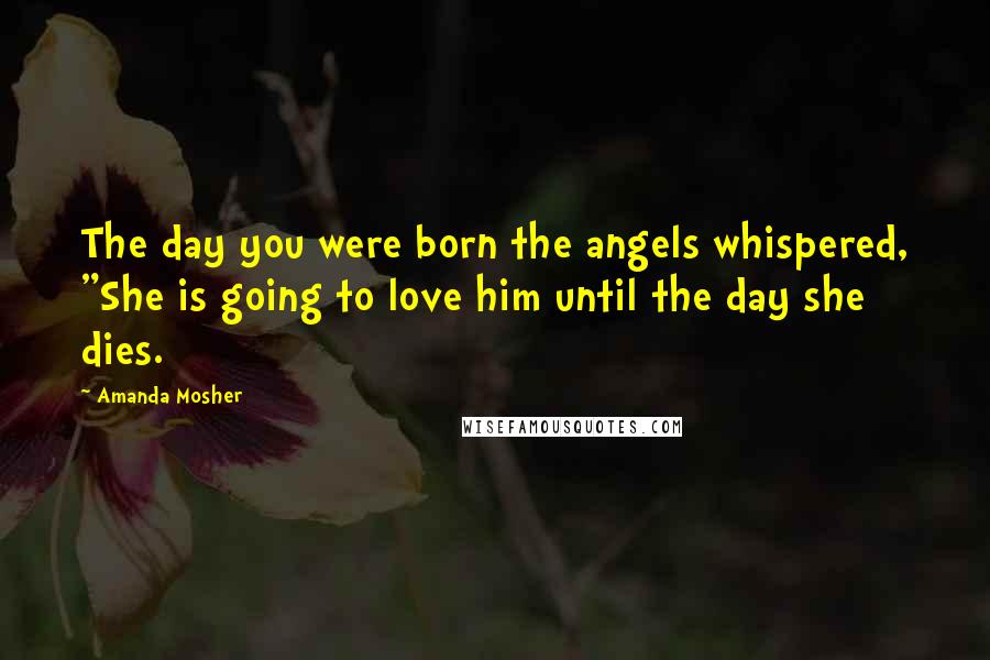 Amanda Mosher Quotes: The day you were born the angels whispered, "She is going to love him until the day she dies.