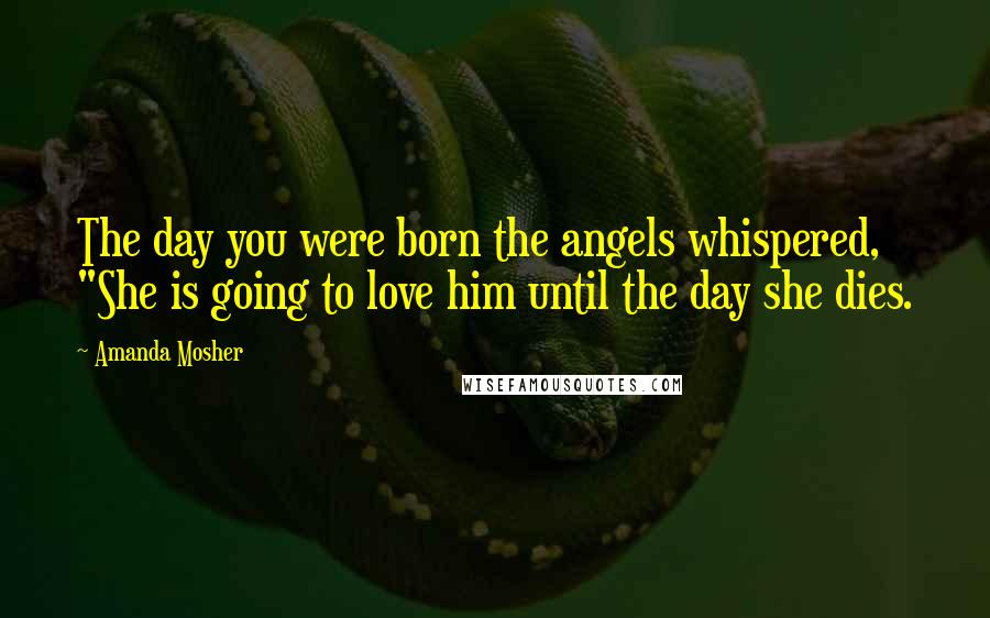 Amanda Mosher Quotes: The day you were born the angels whispered, "She is going to love him until the day she dies.