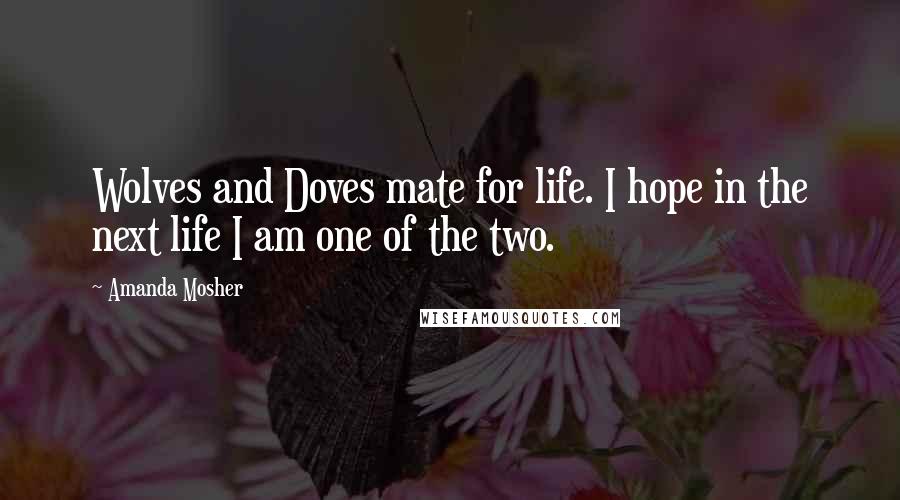 Amanda Mosher Quotes: Wolves and Doves mate for life. I hope in the next life I am one of the two.