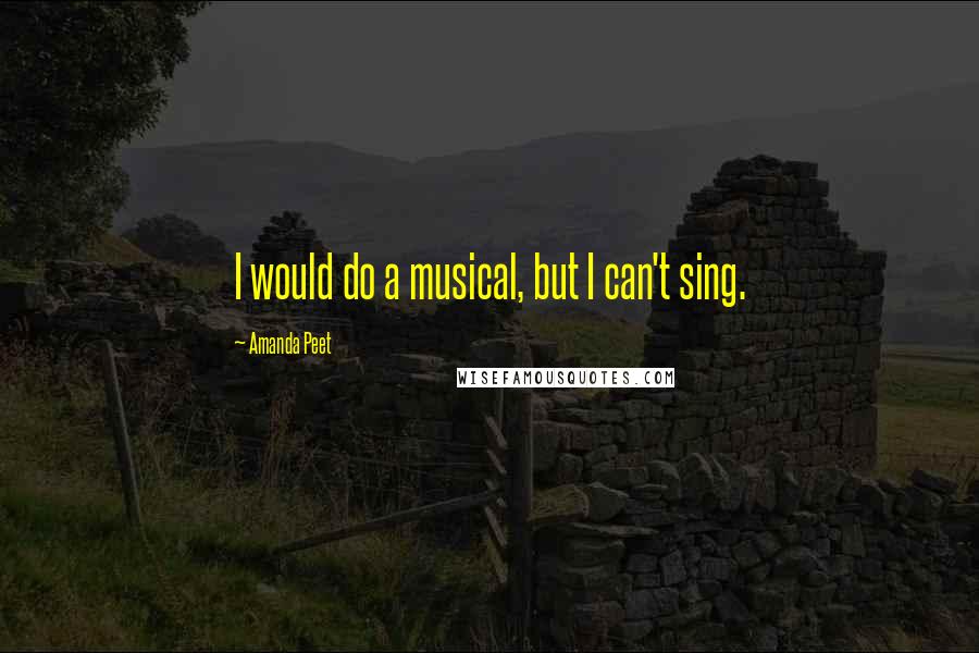 Amanda Peet Quotes: I would do a musical, but I can't sing.