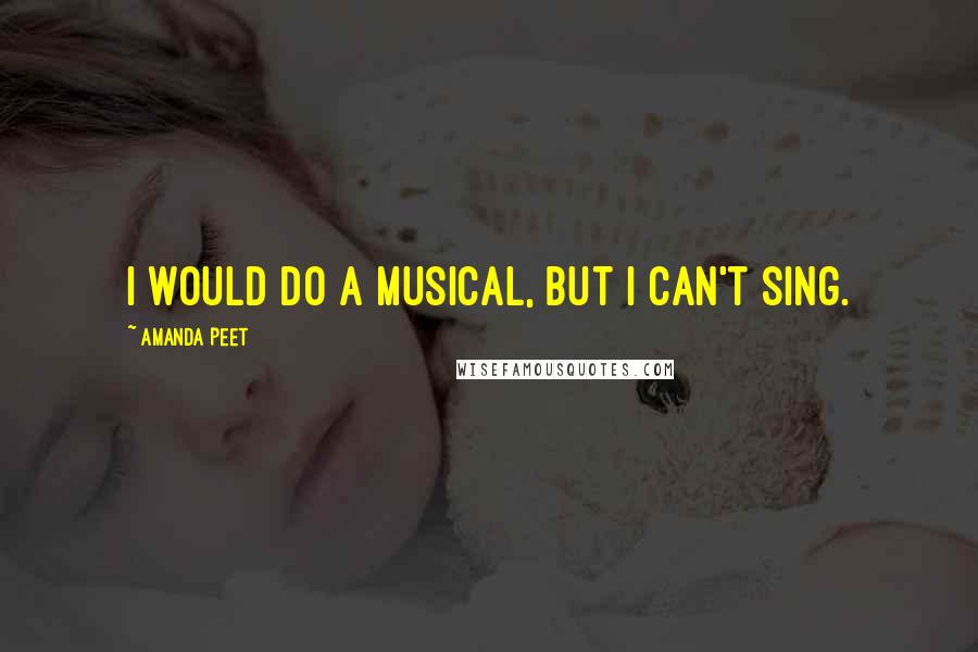 Amanda Peet Quotes: I would do a musical, but I can't sing.