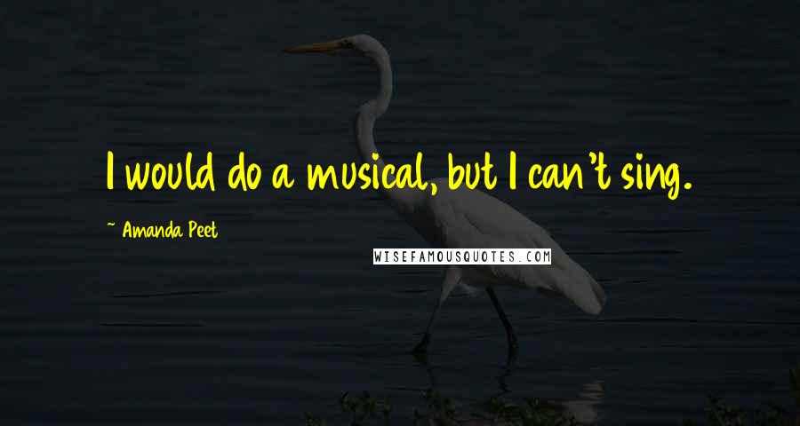 Amanda Peet Quotes: I would do a musical, but I can't sing.