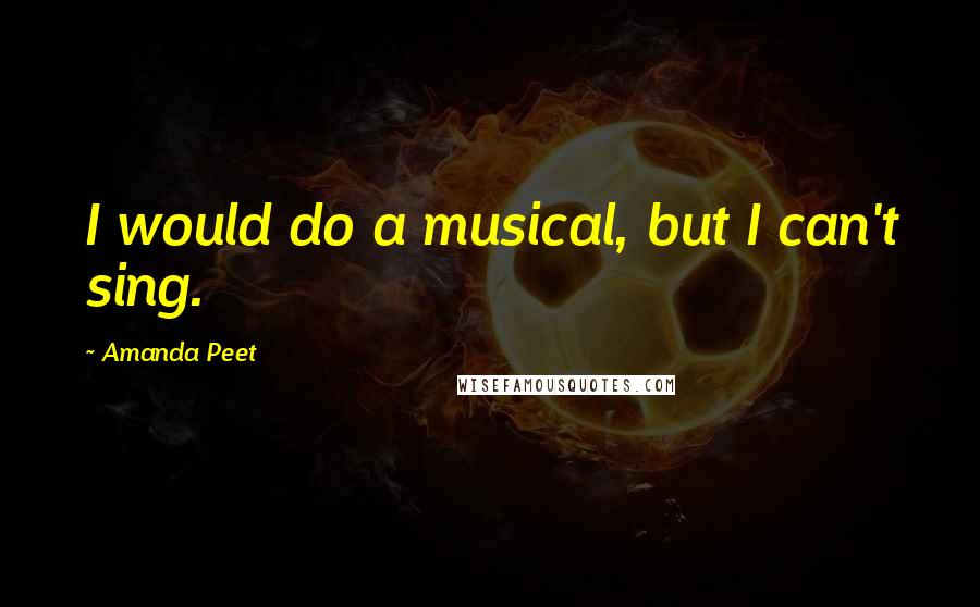 Amanda Peet Quotes: I would do a musical, but I can't sing.