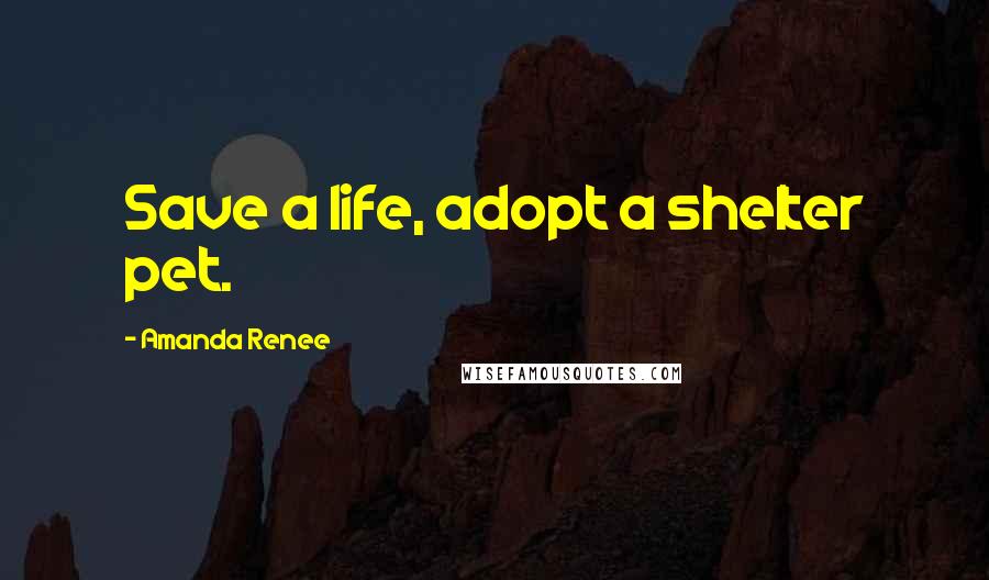 Amanda Renee Quotes: Save a life, adopt a shelter pet.