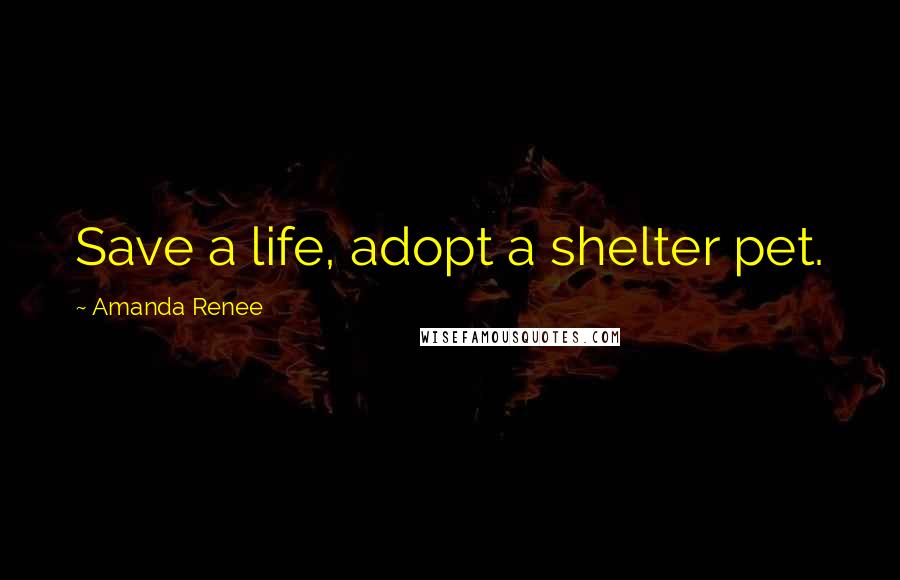 Amanda Renee Quotes: Save a life, adopt a shelter pet.