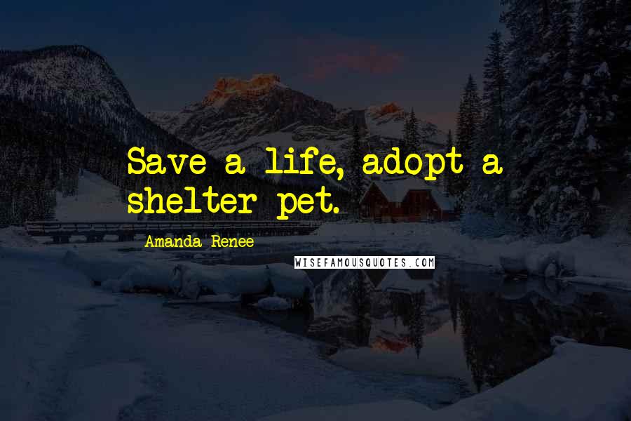 Amanda Renee Quotes: Save a life, adopt a shelter pet.