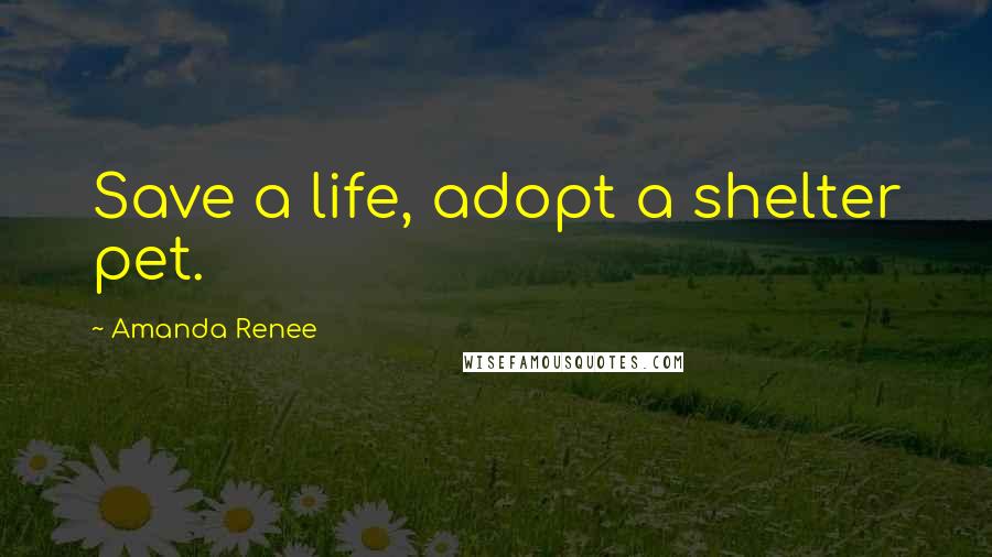 Amanda Renee Quotes: Save a life, adopt a shelter pet.