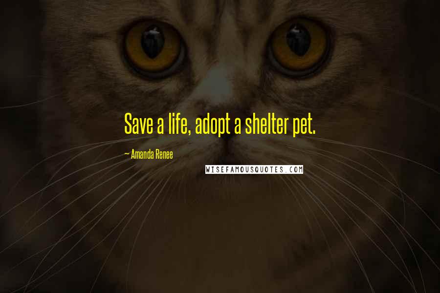 Amanda Renee Quotes: Save a life, adopt a shelter pet.