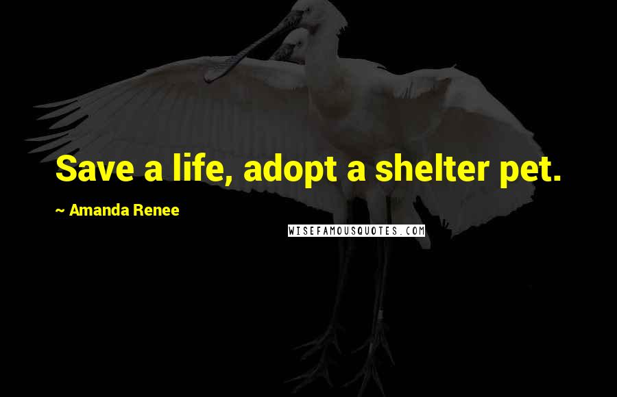 Amanda Renee Quotes: Save a life, adopt a shelter pet.