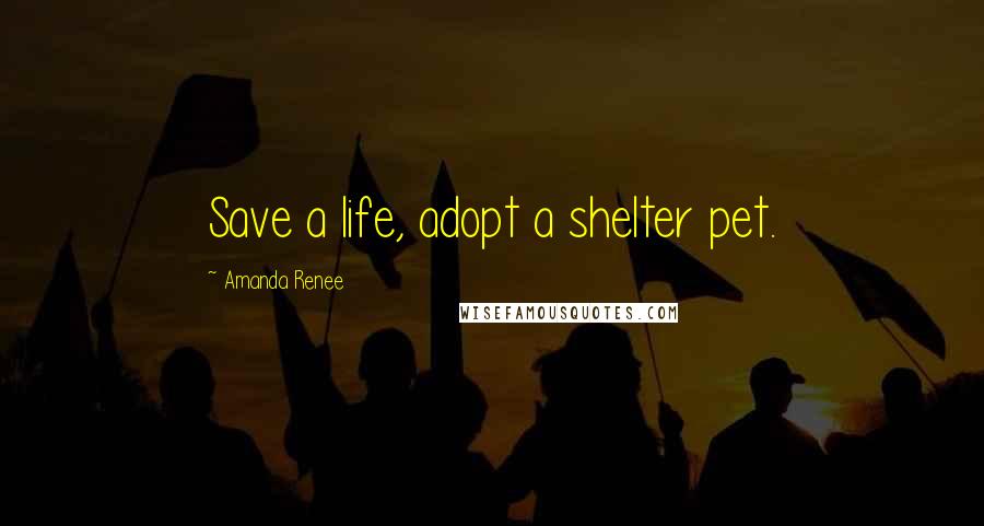 Amanda Renee Quotes: Save a life, adopt a shelter pet.