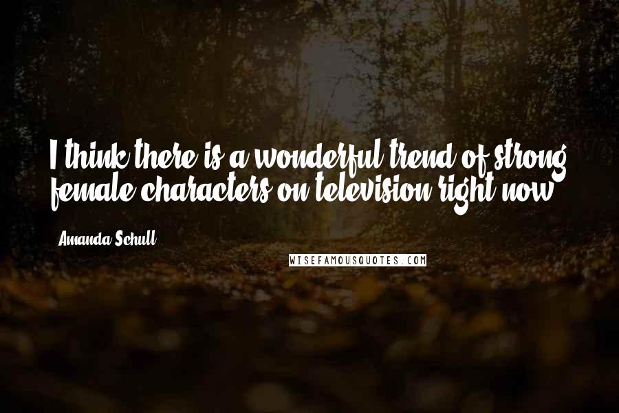 Amanda Schull Quotes: I think there is a wonderful trend of strong female characters on television right now.