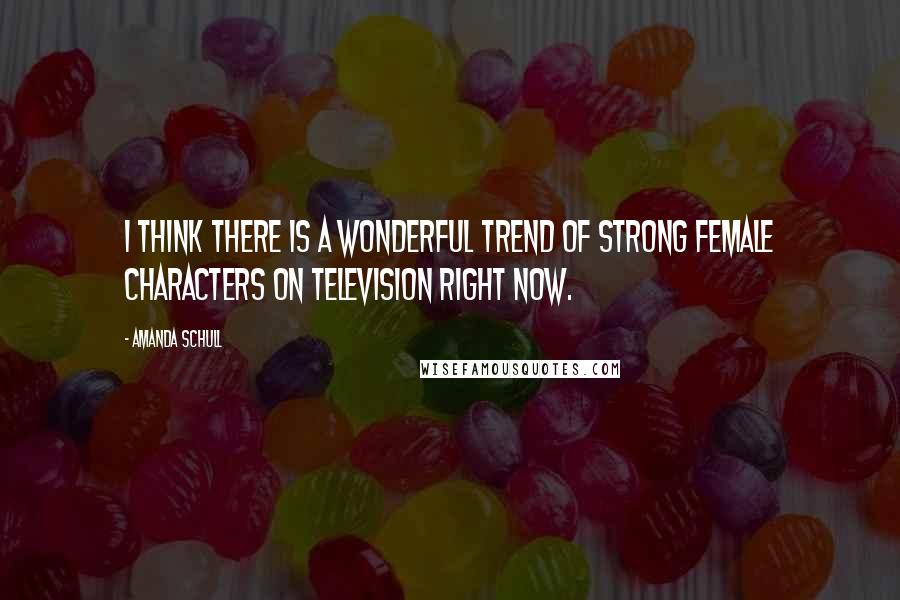 Amanda Schull Quotes: I think there is a wonderful trend of strong female characters on television right now.