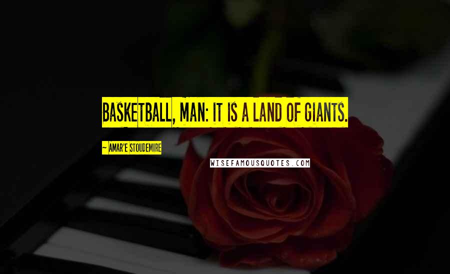 Amar'e Stoudemire Quotes: Basketball, man: it is a land of giants.