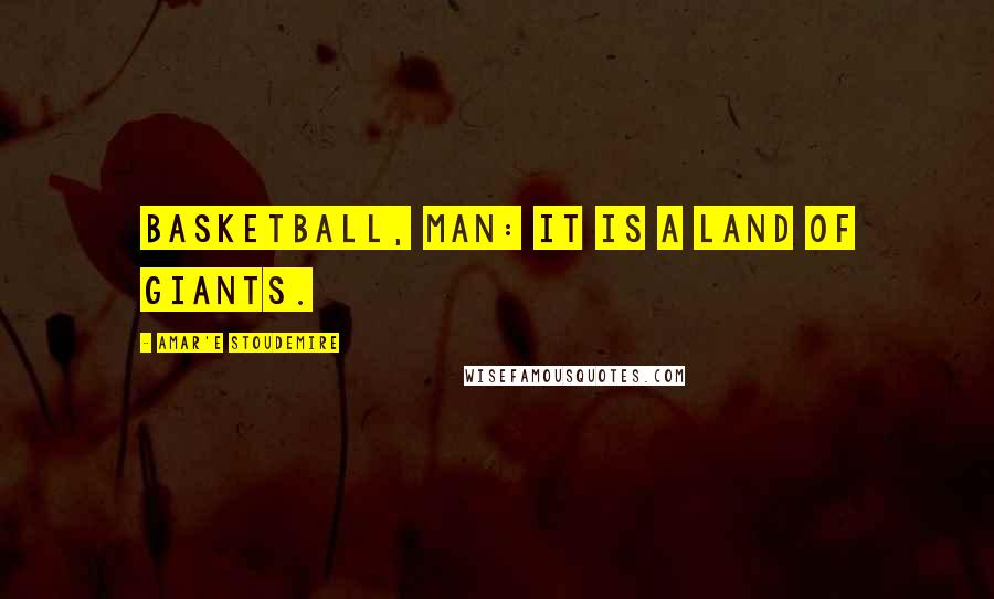 Amar'e Stoudemire Quotes: Basketball, man: it is a land of giants.