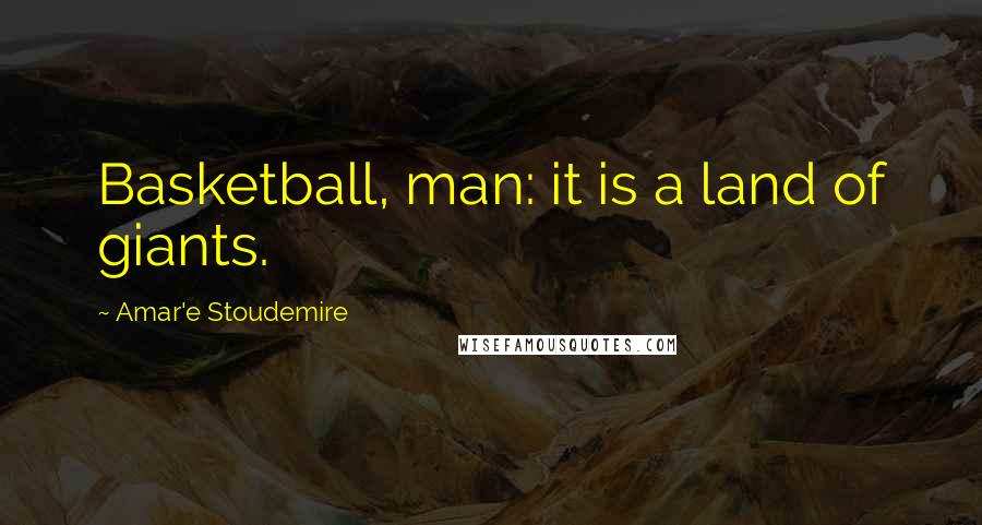 Amar'e Stoudemire Quotes: Basketball, man: it is a land of giants.