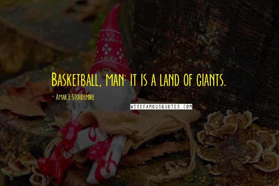 Amar'e Stoudemire Quotes: Basketball, man: it is a land of giants.