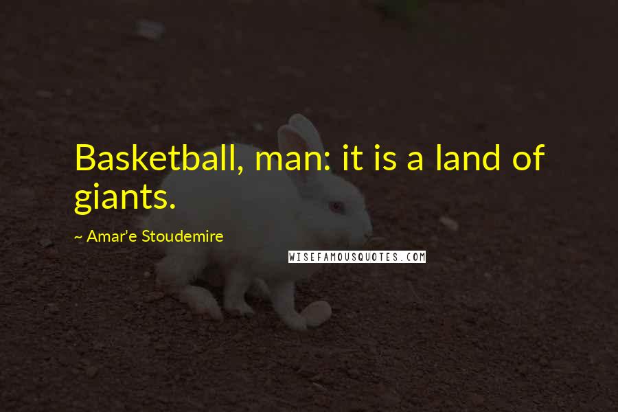 Amar'e Stoudemire Quotes: Basketball, man: it is a land of giants.