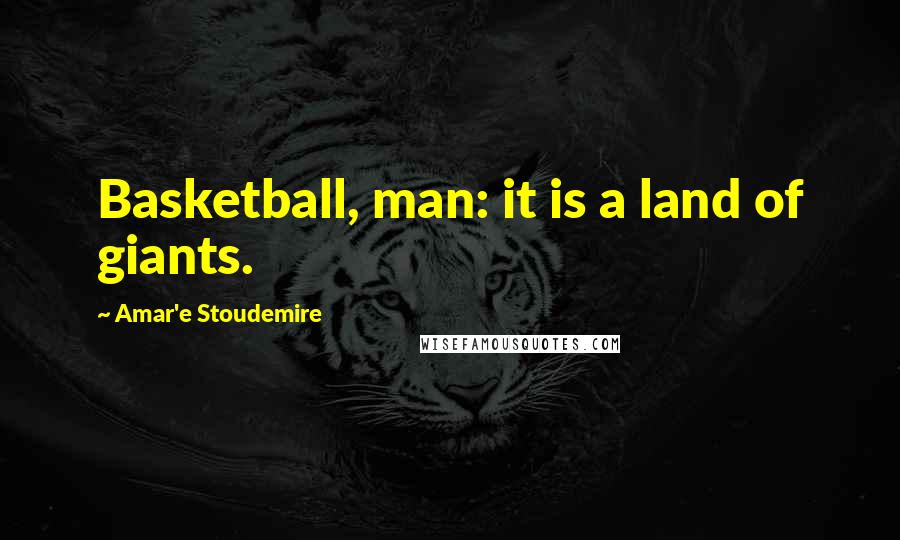 Amar'e Stoudemire Quotes: Basketball, man: it is a land of giants.