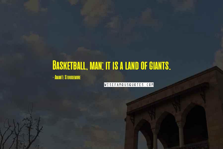Amar'e Stoudemire Quotes: Basketball, man: it is a land of giants.