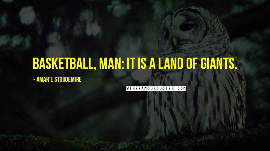 Amar'e Stoudemire Quotes: Basketball, man: it is a land of giants.