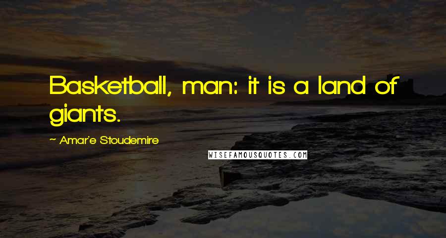 Amar'e Stoudemire Quotes: Basketball, man: it is a land of giants.