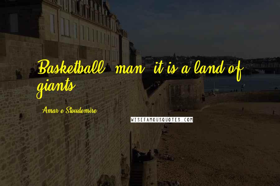 Amar'e Stoudemire Quotes: Basketball, man: it is a land of giants.