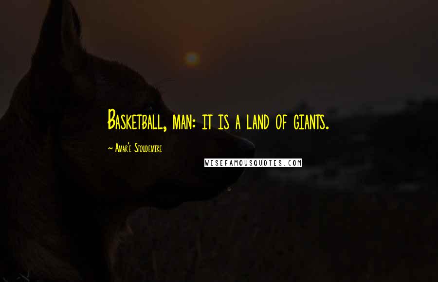 Amar'e Stoudemire Quotes: Basketball, man: it is a land of giants.