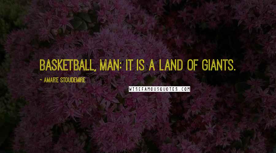 Amar'e Stoudemire Quotes: Basketball, man: it is a land of giants.