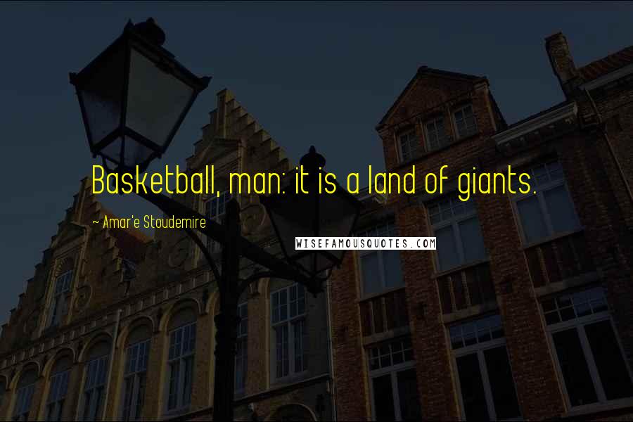 Amar'e Stoudemire Quotes: Basketball, man: it is a land of giants.