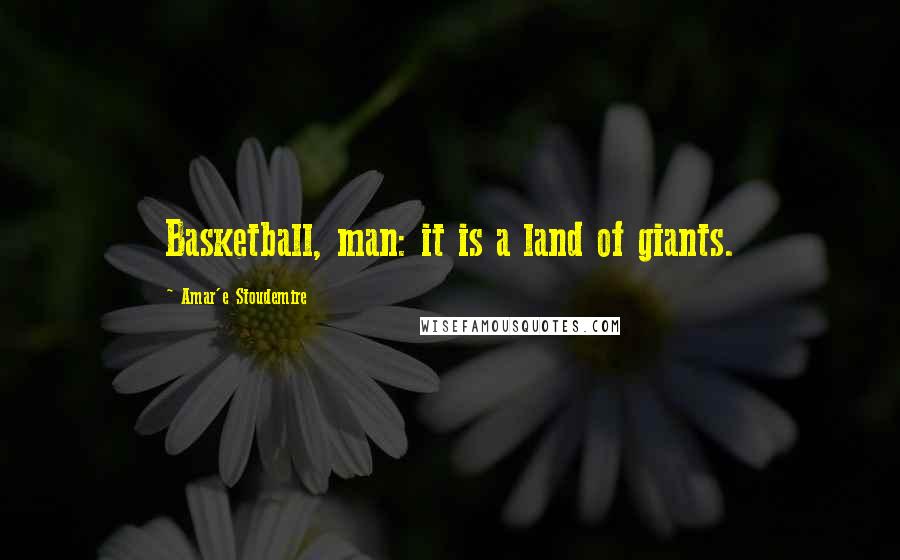 Amar'e Stoudemire Quotes: Basketball, man: it is a land of giants.