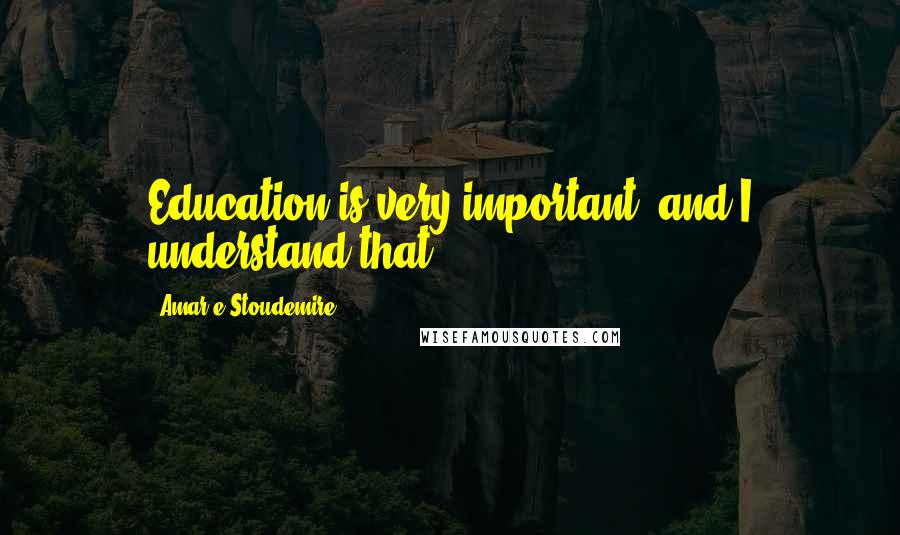 Amar'e Stoudemire Quotes: Education is very important, and I understand that.