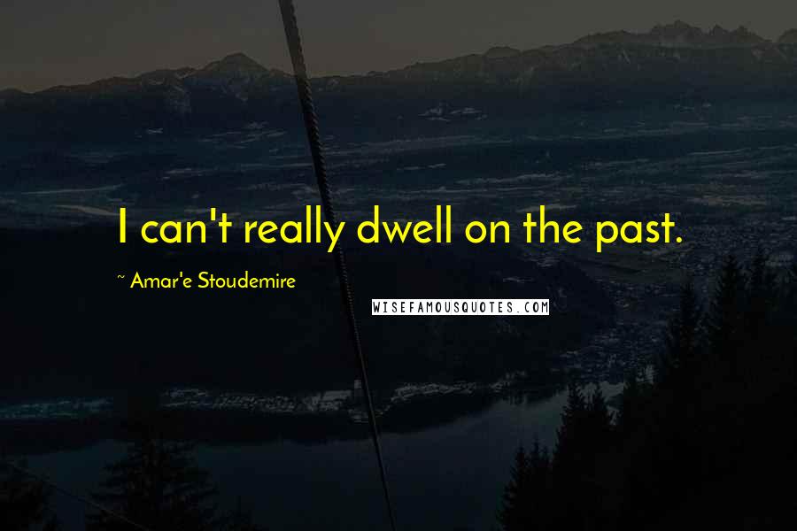 Amar'e Stoudemire Quotes: I can't really dwell on the past.