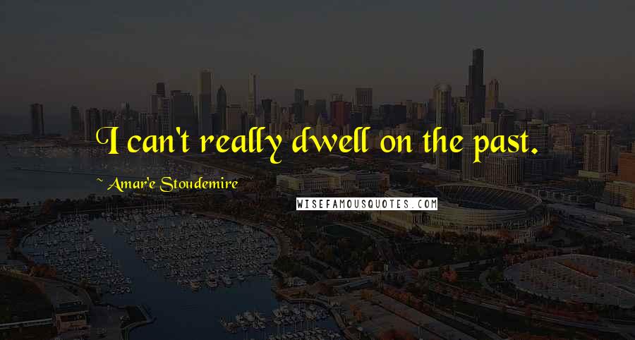 Amar'e Stoudemire Quotes: I can't really dwell on the past.