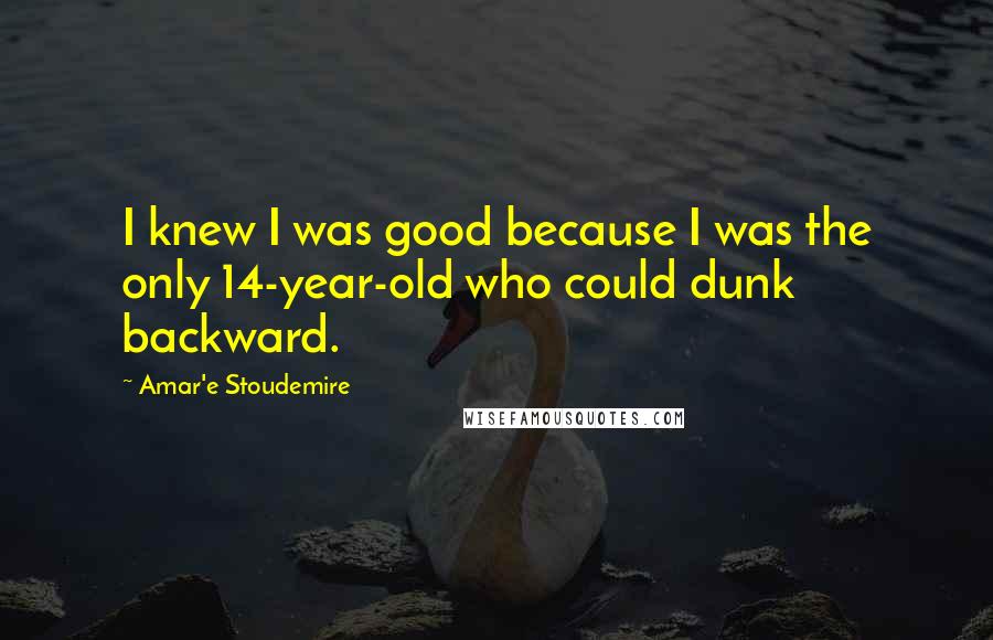 Amar'e Stoudemire Quotes: I knew I was good because I was the only 14-year-old who could dunk backward.