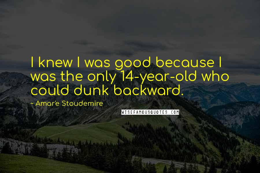 Amar'e Stoudemire Quotes: I knew I was good because I was the only 14-year-old who could dunk backward.