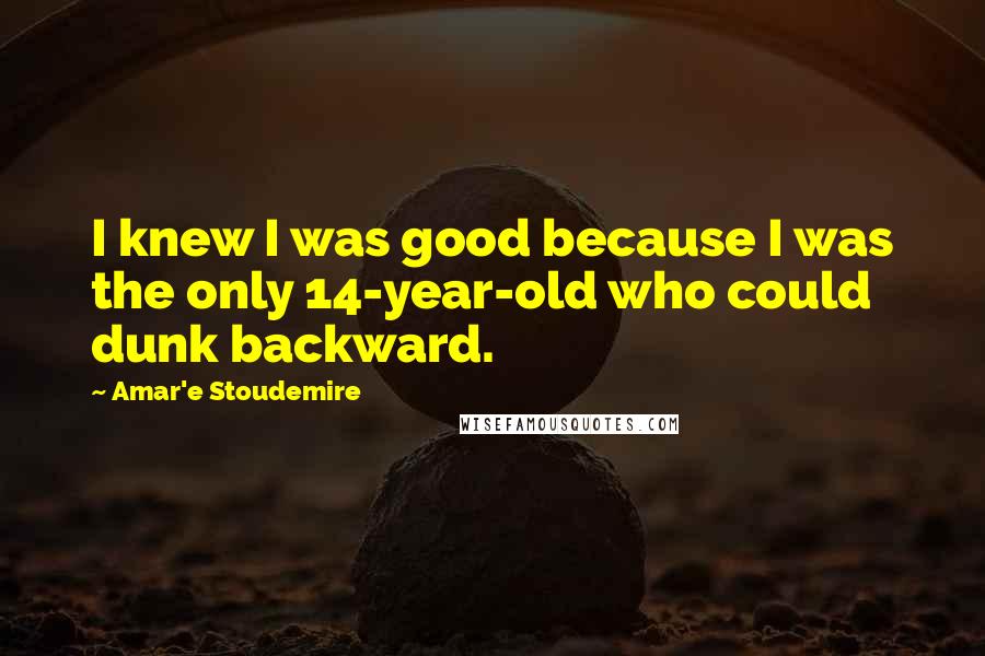 Amar'e Stoudemire Quotes: I knew I was good because I was the only 14-year-old who could dunk backward.