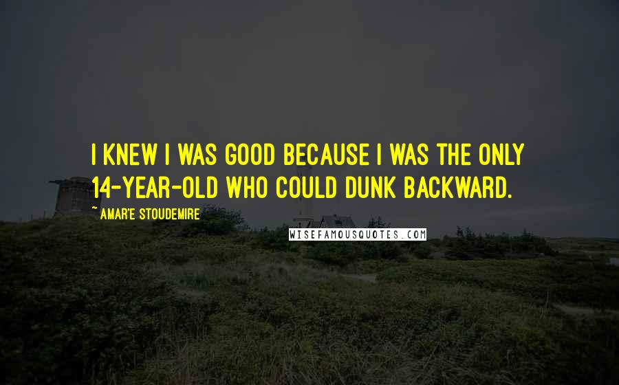 Amar'e Stoudemire Quotes: I knew I was good because I was the only 14-year-old who could dunk backward.