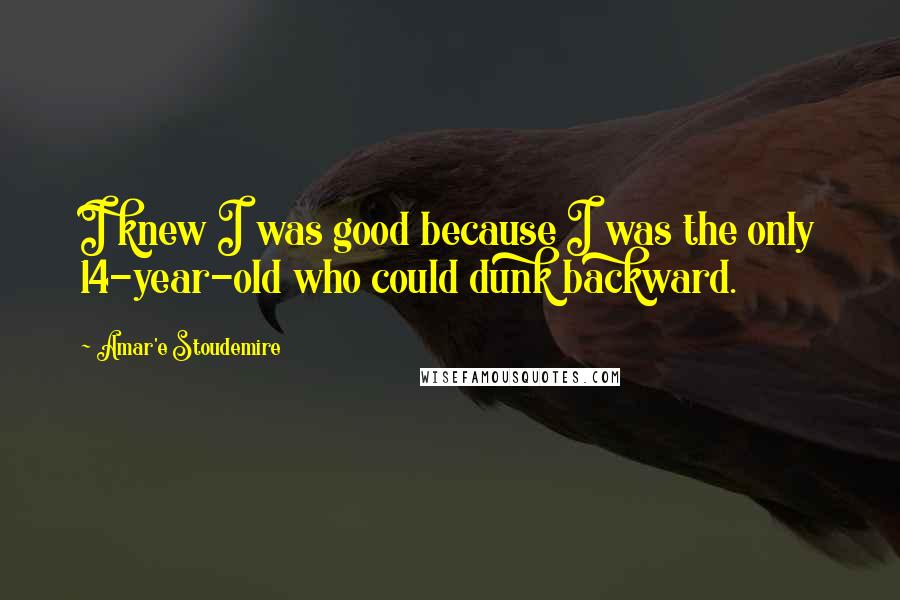 Amar'e Stoudemire Quotes: I knew I was good because I was the only 14-year-old who could dunk backward.