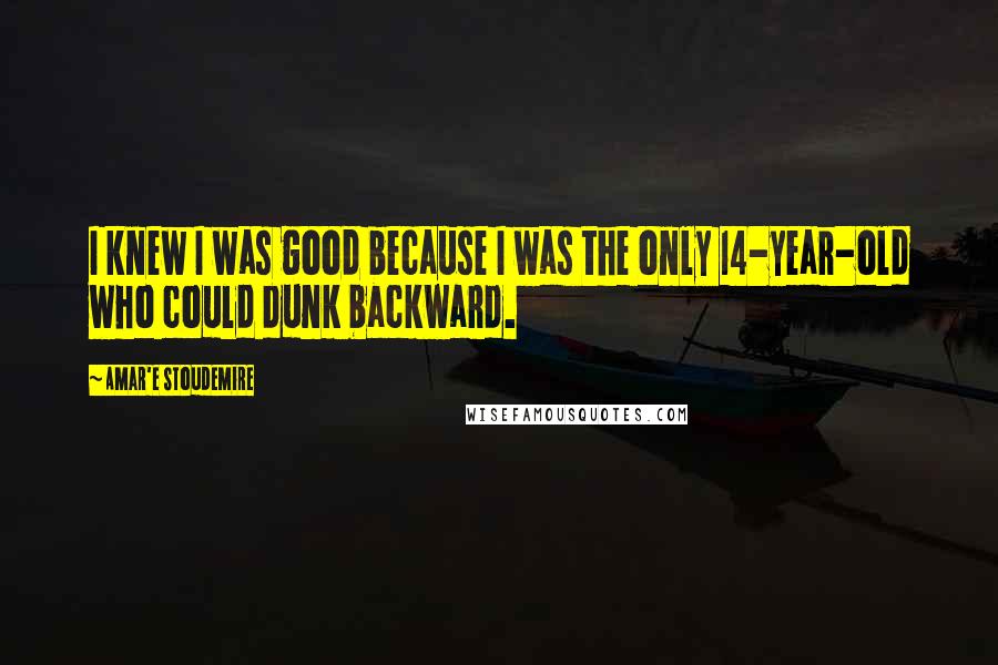 Amar'e Stoudemire Quotes: I knew I was good because I was the only 14-year-old who could dunk backward.