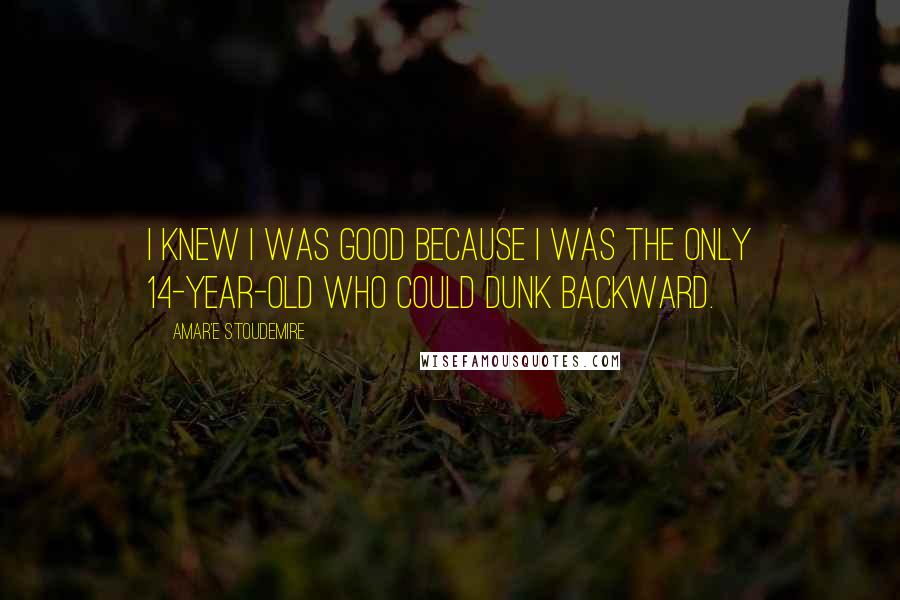 Amar'e Stoudemire Quotes: I knew I was good because I was the only 14-year-old who could dunk backward.