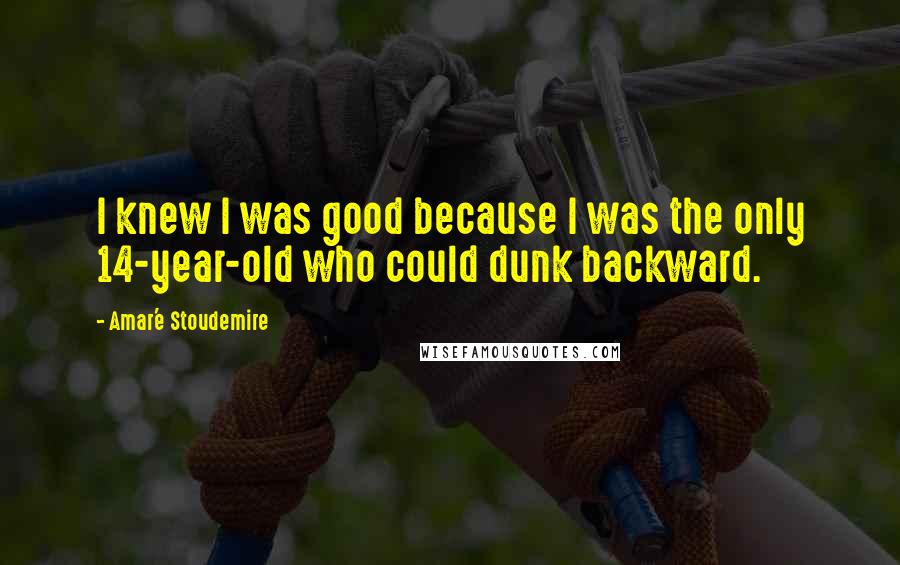 Amar'e Stoudemire Quotes: I knew I was good because I was the only 14-year-old who could dunk backward.