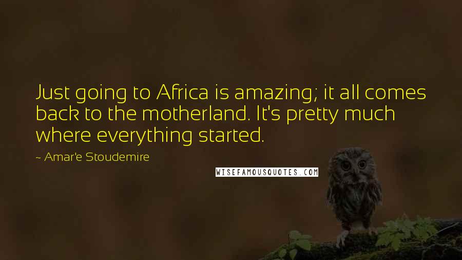 Amar'e Stoudemire Quotes: Just going to Africa is amazing; it all comes back to the motherland. It's pretty much where everything started.