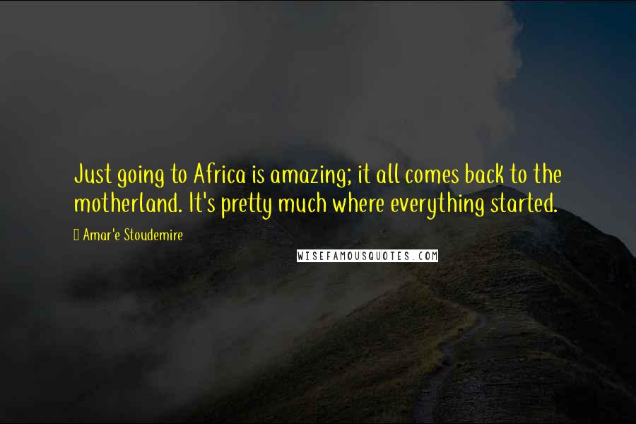 Amar'e Stoudemire Quotes: Just going to Africa is amazing; it all comes back to the motherland. It's pretty much where everything started.