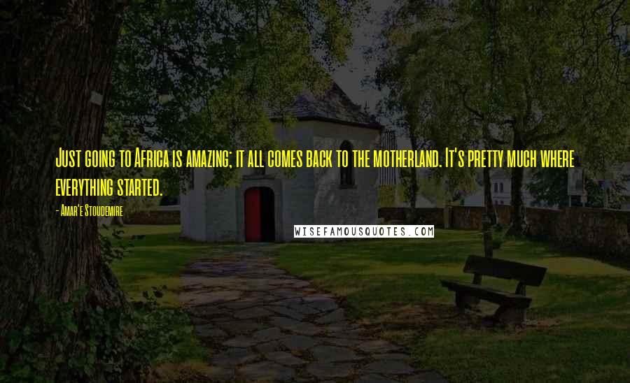 Amar'e Stoudemire Quotes: Just going to Africa is amazing; it all comes back to the motherland. It's pretty much where everything started.